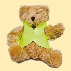 Teddy Bear wearing Hi